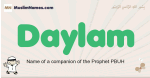 Daylam muslim boys name and meaning, islamic boys name Daylam