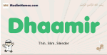 Dhaamir muslim boys name and meaning, islamic boys name Dhaamir