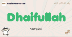 Dhaifullah muslim boys name and meaning, islamic boys name Dhaifullah