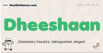 Dheeshaan muslim boys name and meaning, islamic boys name Dheeshaan