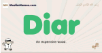 Diar muslim boys name and meaning, islamic boys name Diar