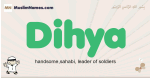 Dihya muslim boys name and meaning, islamic boys name Dihya