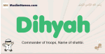 Dihyah muslim boys name and meaning, islamic boys name Dihyah