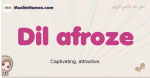 Dil-afroze muslim girls name and meaning, islamic girls name Dil-afroze