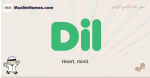 Dil muslim boys name and meaning, islamic boys name Dil