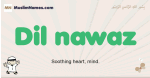 Dil-nawaz muslim boys name and meaning, islamic boys name Dil-nawaz