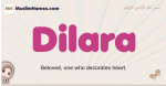 Dilara muslim girls name and meaning, islamic girls name Dilara