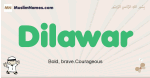 Dilawar muslim boys name and meaning, islamic boys name Dilawar