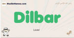 Dilbar muslim boys name and meaning, islamic boys name Dilbar
