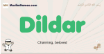 Dildar muslim boys name and meaning, islamic boys name Dildar