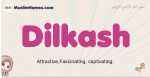 Dilkash muslim girls name and meaning, islamic girls name Dilkash
