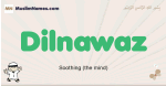 Dilnawaz muslim boys name and meaning, islamic boys name Dilnawaz