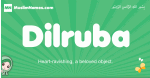 Dilruba arabic girl name and meaning, quranic girls name Dilruba