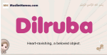 Dilruba muslim girls name and meaning, islamic girls name Dilruba