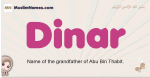 Dinar muslim girls name and meaning, islamic girls name Dinar