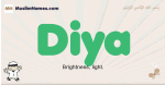 Diya muslim boys name and meaning, islamic boys name Diya