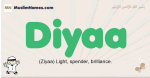Diyaa muslim boys name and meaning, islamic boys name Diyaa