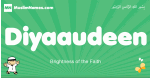 Diyaaudeen arabic boys name and meaning, quranic boys name Diyaaudeen