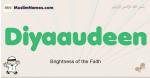Diyaaudeen muslim boys name and meaning, islamic boys name Diyaaudeen