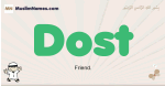 Dost muslim boys name and meaning, islamic boys name Dost