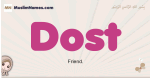 Dost muslim girls name and meaning, islamic girls name Dost