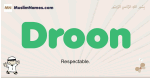 Droon muslim boys name and meaning, islamic boys name Droon
