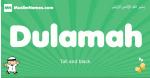 Dulamah arabic boys name and meaning, quranic boys name Dulamah