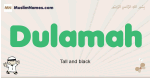 Dulamah muslim boys name and meaning, islamic boys name Dulamah