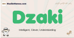 Dzaki muslim boys name and meaning, islamic boys name Dzaki