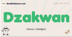 Dzakwan muslim boys name and meaning, islamic boys name Dzakwan