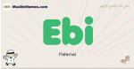 Ebi muslim boys name and meaning, islamic boys name Ebi