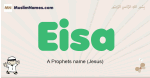 Eisa muslim boys name and meaning, islamic boys name Eisa