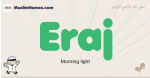 Eraj muslim boys name and meaning, islamic boys name Eraj