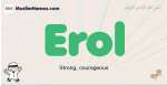 Erol muslim boys name and meaning, islamic boys name Erol