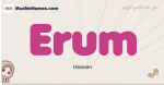 Erum muslim girls name and meaning, islamic girls name Erum