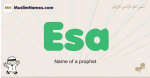 Esa muslim boys name and meaning, islamic boys name Esa
