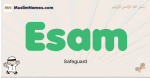 Esam muslim boys name and meaning, islamic boys name Esam