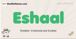 Eshaal muslim boys name and meaning, islamic boys name Eshaal