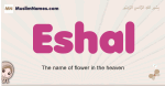 Eshal muslim girls name and meaning, islamic girls name Eshal