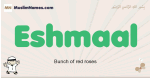 Eshmaal muslim boys name and meaning, islamic boys name Eshmaal