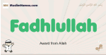 Fadhlullah muslim boys name and meaning, islamic boys name Fadhlullah