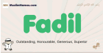 Fadil muslim boys name and meaning, islamic boys name Fadil