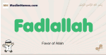 Fadlallah muslim boys name and meaning, islamic boys name Fadlallah