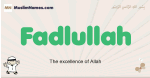 Fadlullah muslim boys name and meaning, islamic boys name Fadlullah