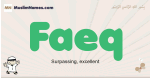 Faeq muslim boys name and meaning, islamic boys name Faeq