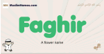 Faghir muslim boys name and meaning, islamic boys name Faghir