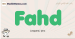 Fahd muslim boys name and meaning, islamic boys name Fahd