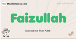 Faizullah muslim boys name and meaning, islamic boys name Faizullah