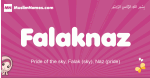 Falaknaz arabic girls name and meaning, muslim girl name Falaknaz