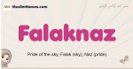 Falaknaz muslim girls name and meaning, islamic girls name Falaknaz